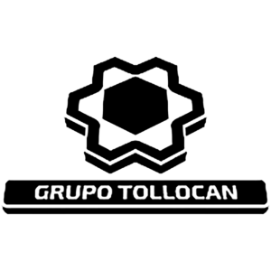 Grupo-Tollocan